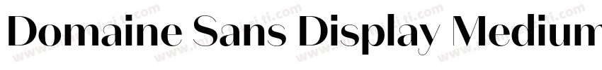 Domaine Sans Display Medium字体转换
